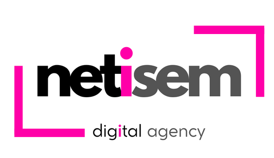 netisem logo